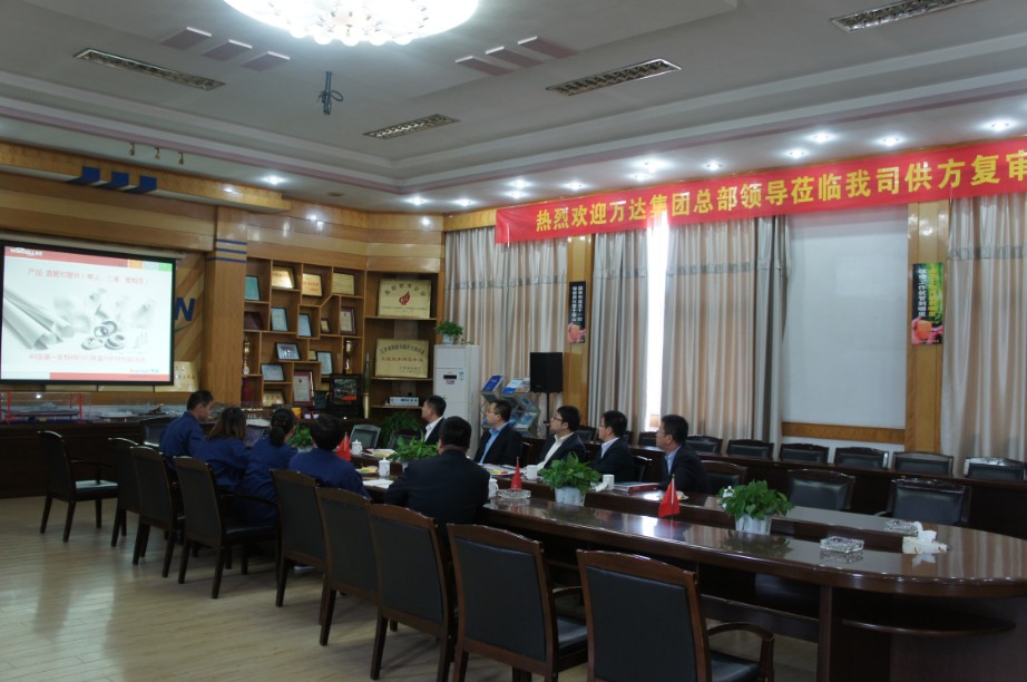 万达集团总部领导莅临我司供方复审 万达集团总部领导莅临赢胜江苏节能有限公司供方复审