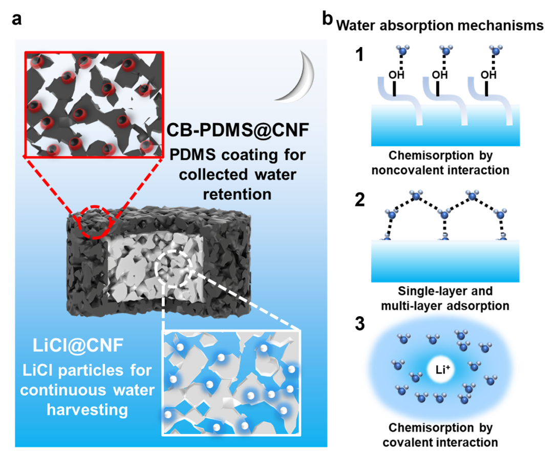 640 (97).png 640 (97).png