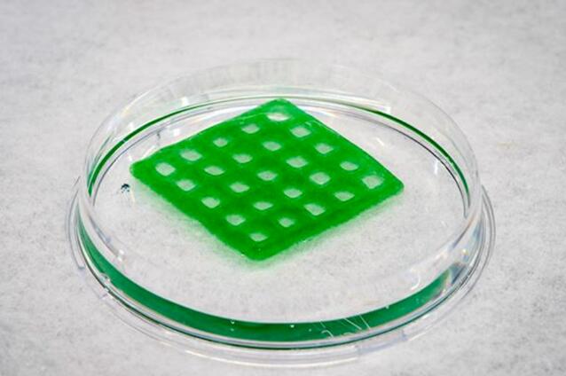 QQ截图20230922090443.jpg QQ截图20230922090443.jpg