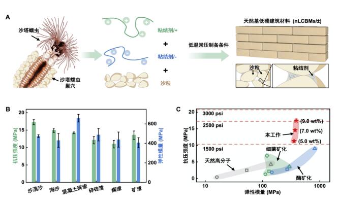 QQ截图20231012110719.jpg QQ截图20231012110719.jpg