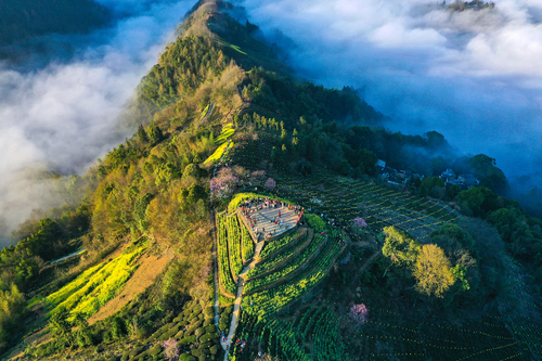 8de5c2a6319f18b71f6ebb28aa860ad2.jpg 8de5c2a6319f18b71f6ebb28aa860ad2.jpg